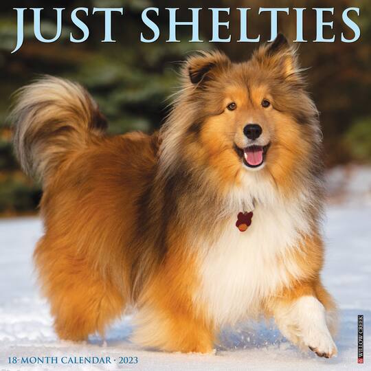 2023 Just Shelties Wall Calendar Michaels
